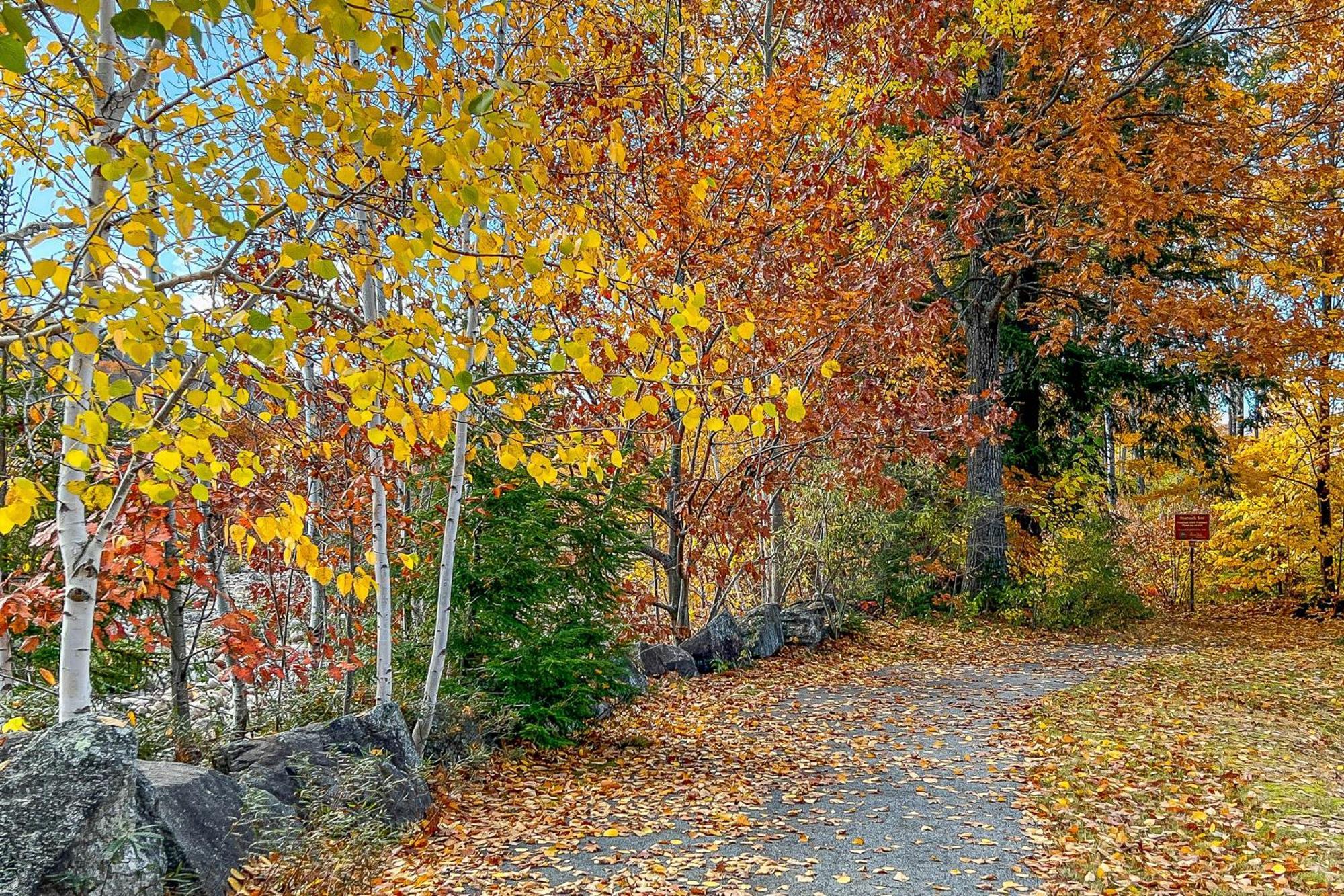 Autumn Colors Condo, Unit 215 Lincoln Exterior photo